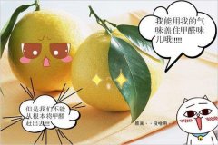去除甲醛的方法多種多樣，哪種最實用靠譜